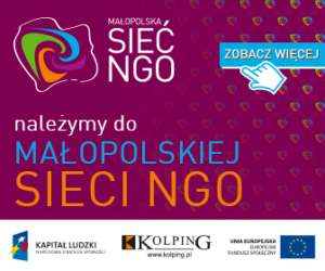 Małopolska Sieć NGO